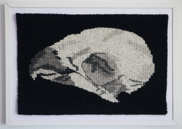 hand woven tapestry of parrot skull in white frame