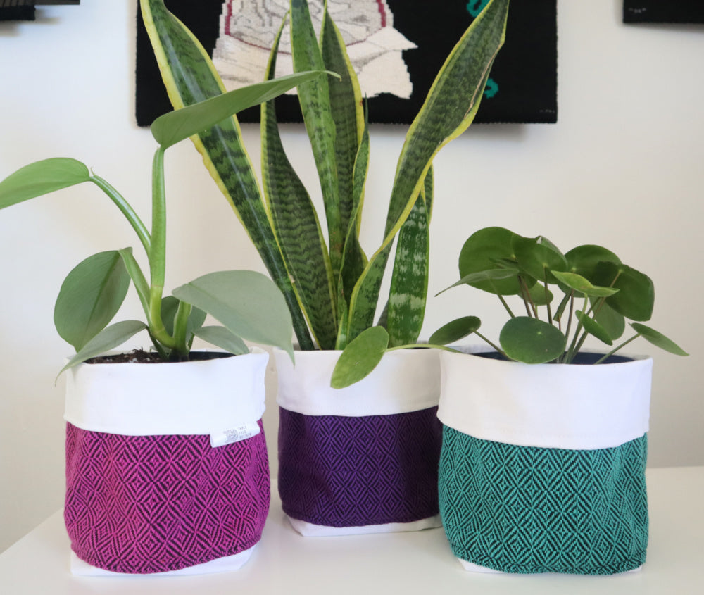 Delicious Plant Holders – Threefold Designs