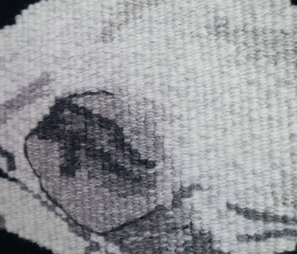 detail of hand woven tapestry of parrot skull