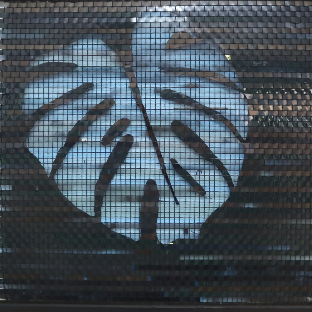 'Resuscitate No. 3 (Monstera Deliciosa)' - edition 1 - Threefold Designs